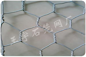 格宾网 格宾网