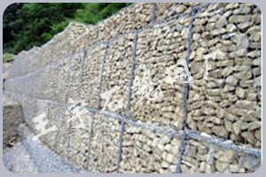xinlv02.jpg xinlv02.jpg